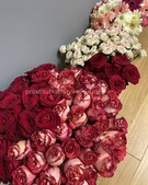 Анкета проститутки Елена - метро Черемушки, возраст - 25